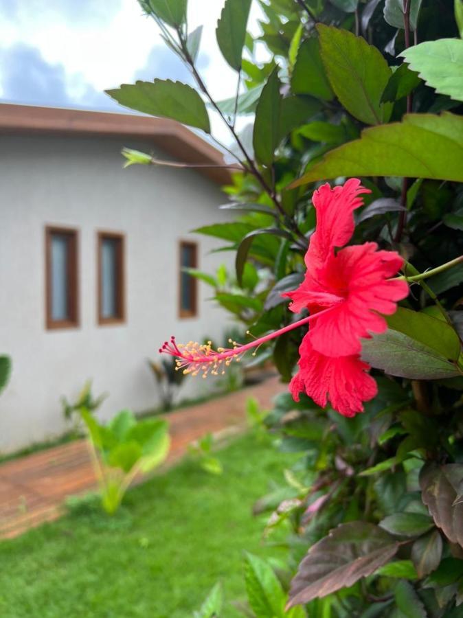 Pousada Maresia Fernando de Noronha Exteriér fotografie